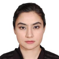 Dr. Ambreen Rehman